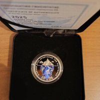 Ασημένιο 6 ευρώ 2025, διεθνές έτος προστασίας των παγετώνων